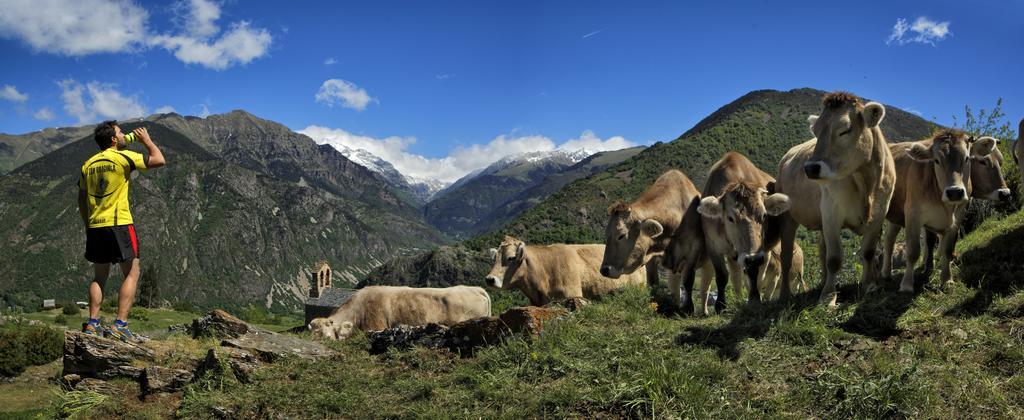 Bungalows Baliera Bonansa Dış mekan fotoğraf